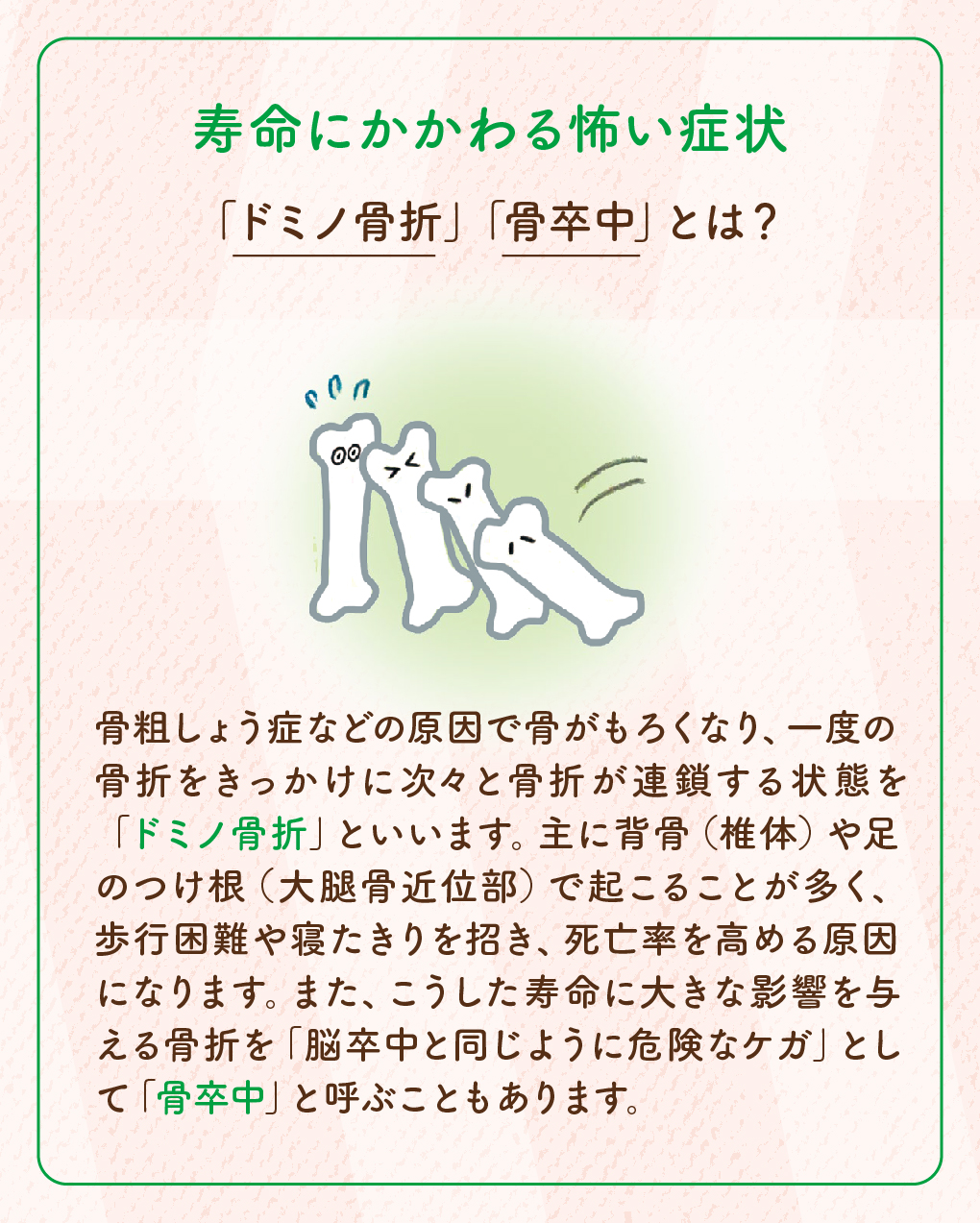 寿命にかかわる怖い症状「ドミノ骨折」「骨卒中」とは?
骨粗しょう症などの原因で骨がもろくなり、一度の骨折をきっかけに次々と骨折が連鎖する状態を「ドミノ骨折」といいます。主に背骨(椎体)や足のつけ根(大腿骨近位部)で起こることが多く、歩行困難や寝たきりを招き、死亡率を高める原因になります。また、こうした寿命に大きな影響を与える骨折を「脳卒中と同じように危険なケガ」として「骨卒中」と呼ぶこともあります。